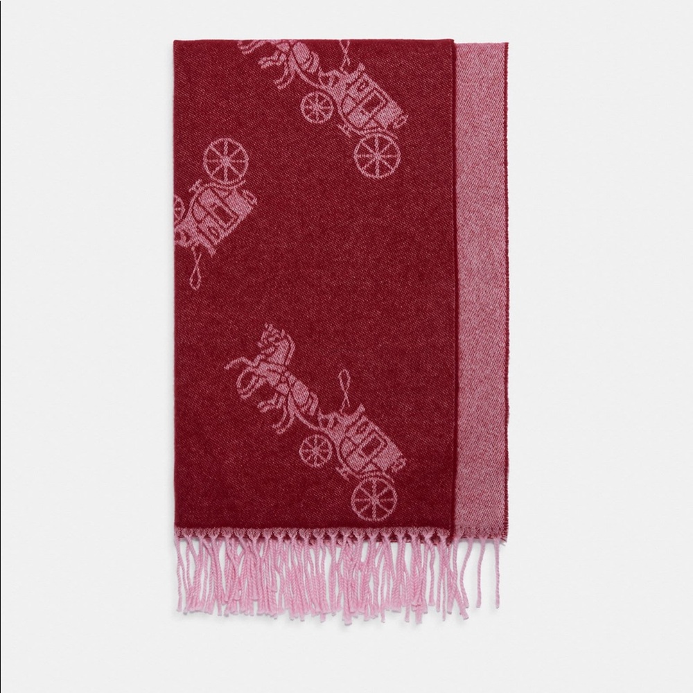 NWT Coach Wool Scarf